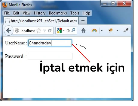 TextBox tıklandığında kenarlık görünmesin
