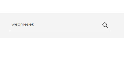 Asp.net de textbox içenden silinen yazı