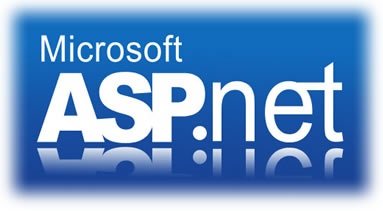 ASP.NET validation hatası